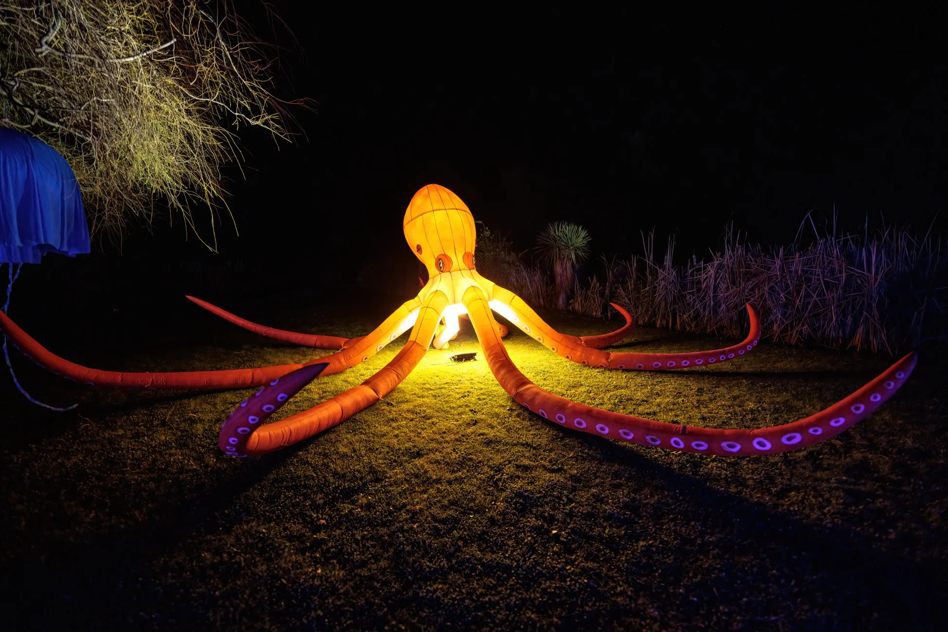 LB Photography - Illuminate 2024 - Nelson - Web  Res - 60.jpg