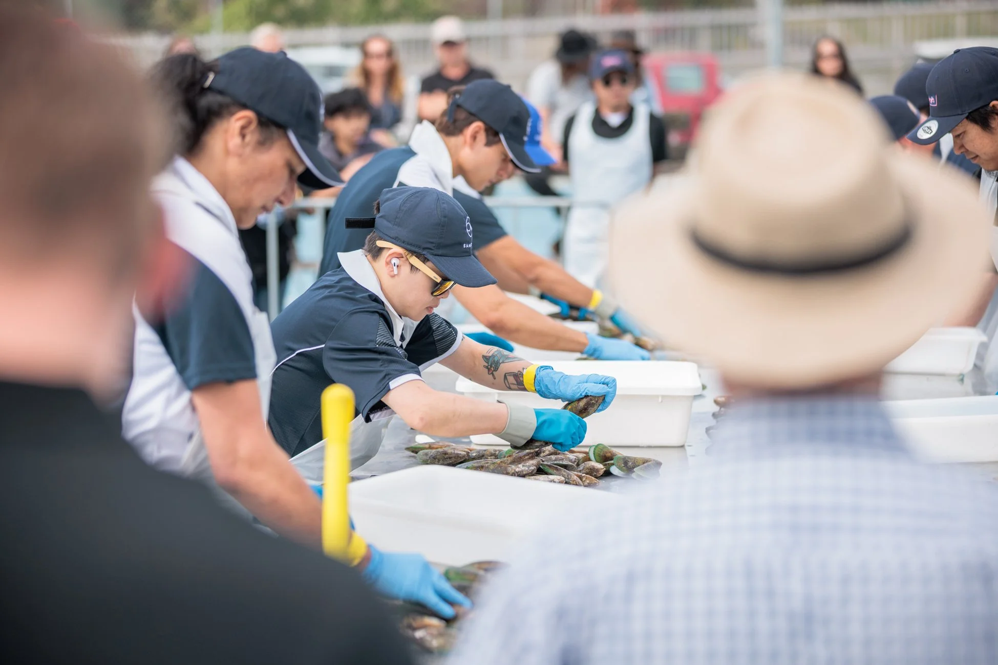 LBP - Havelock Mussel - 2025 - Web Res-127.jpg