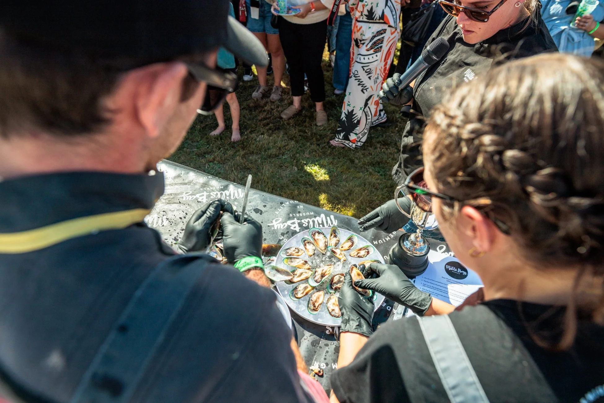 LBP - Havelock Festival - 2026