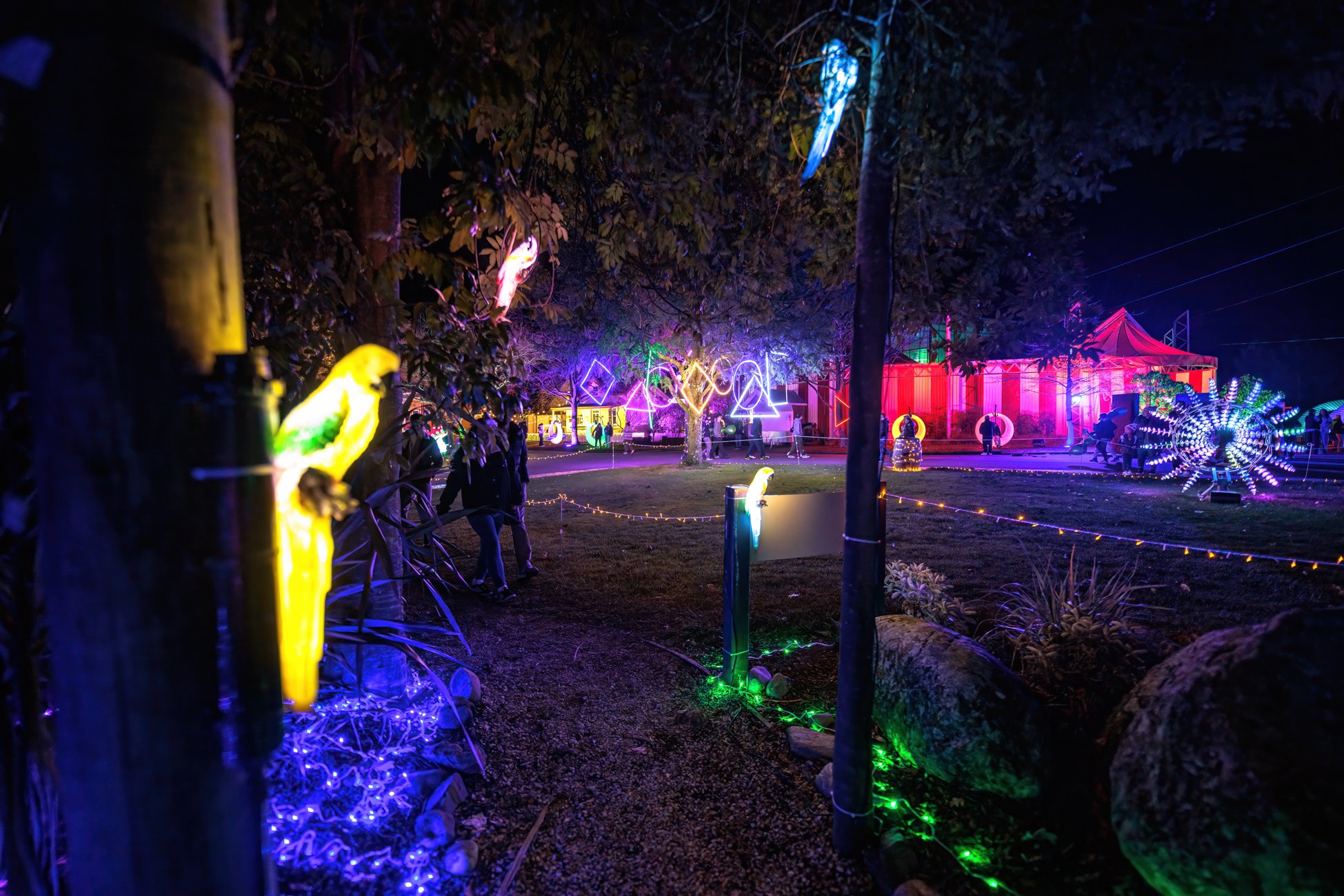 LB Photography - Illuminate 2024 - Nelson - Web  Res - 79.jpg