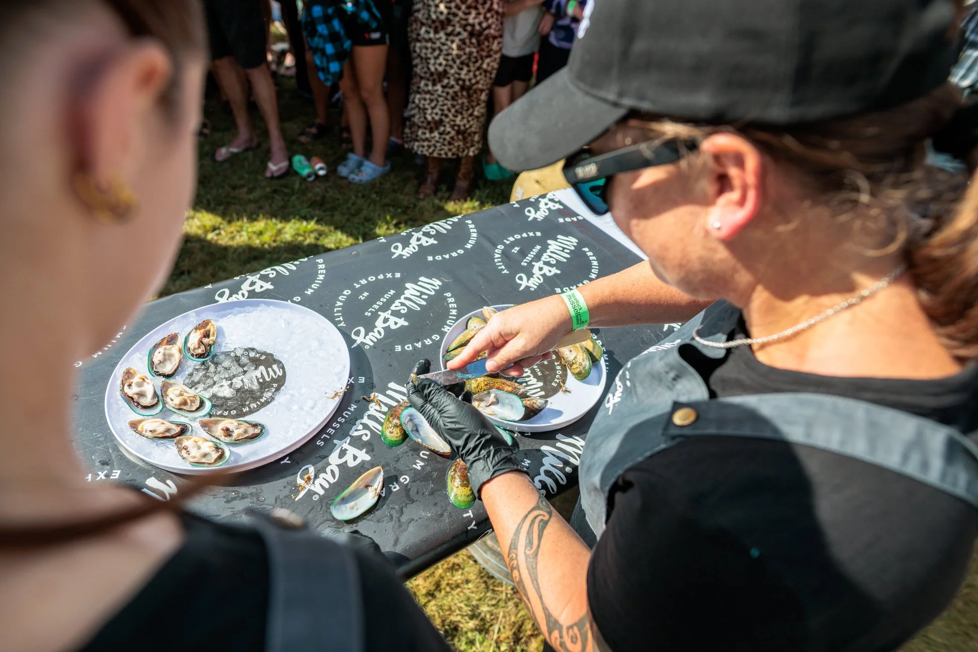 LBP - Havelock Festival - 2026