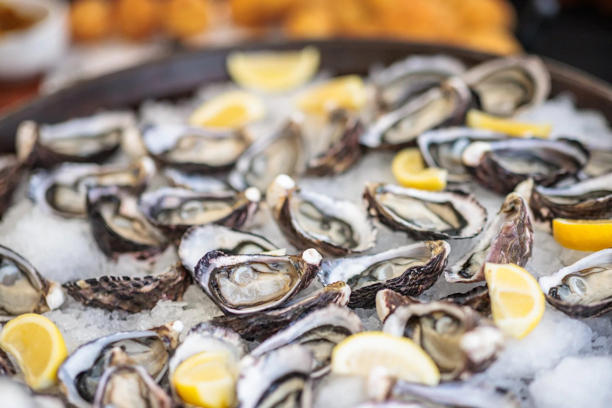 LBP - Havelock Mussel - 2025 - Web Res-192.jpg