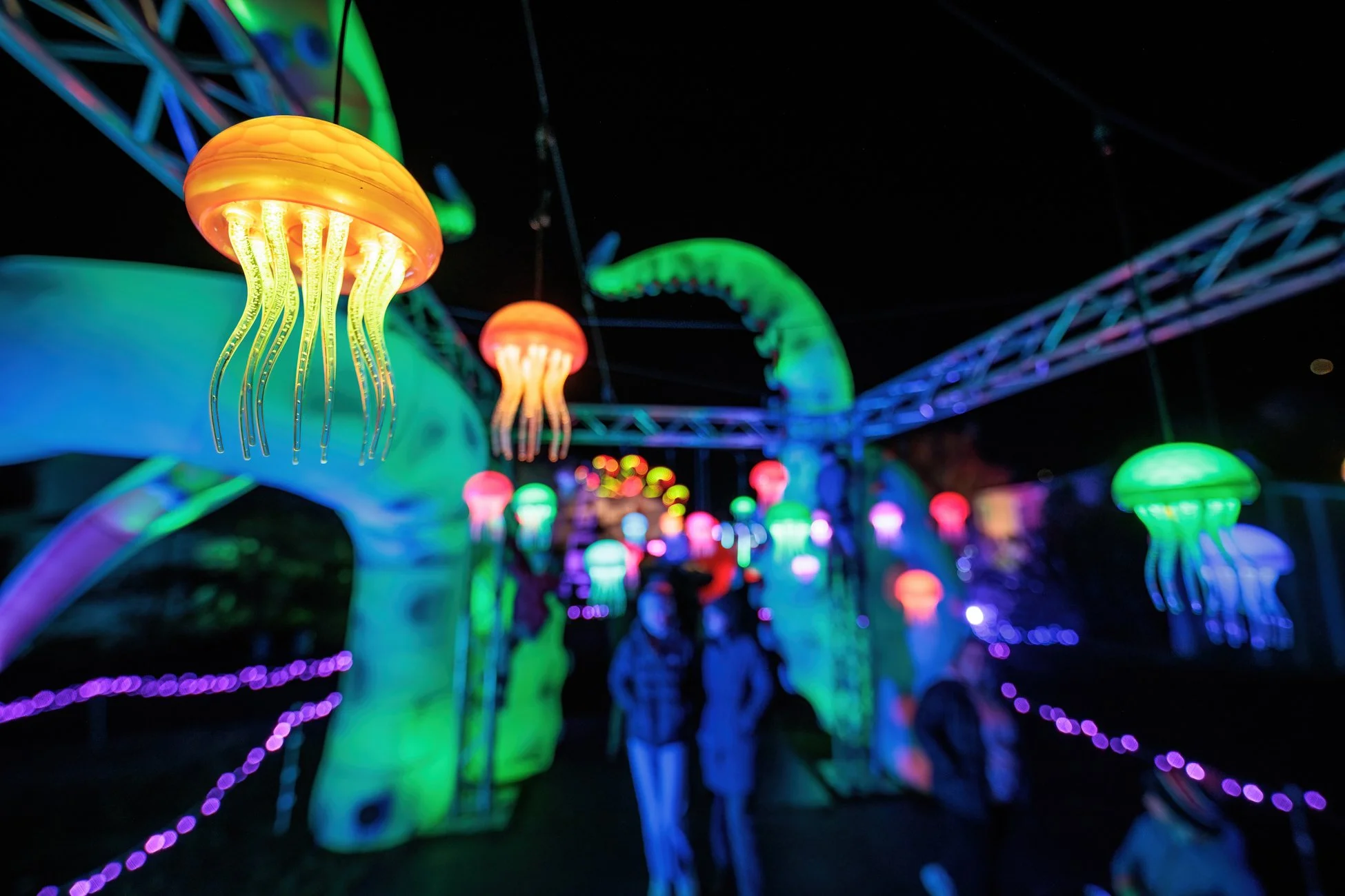LBP - Illuminate - Nelson 2025 - Web Res - 45.jpg