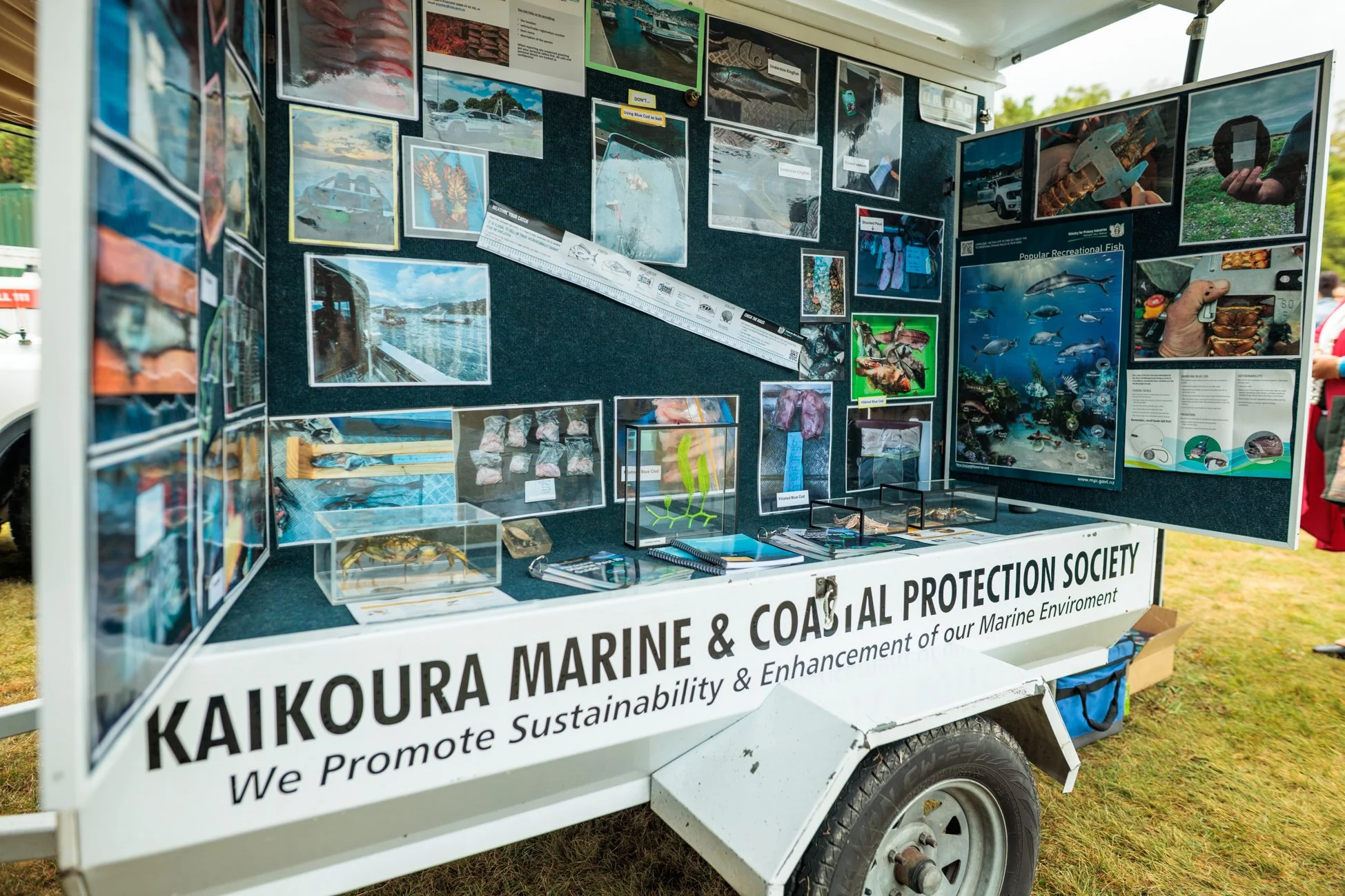 LBP - Havelock Mussel 2026 - Web Res - 4.jpg