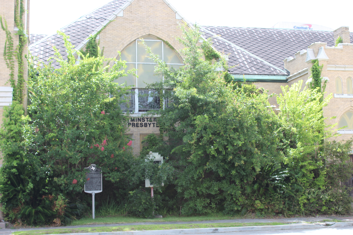 building-exterior-overgrowth.gif