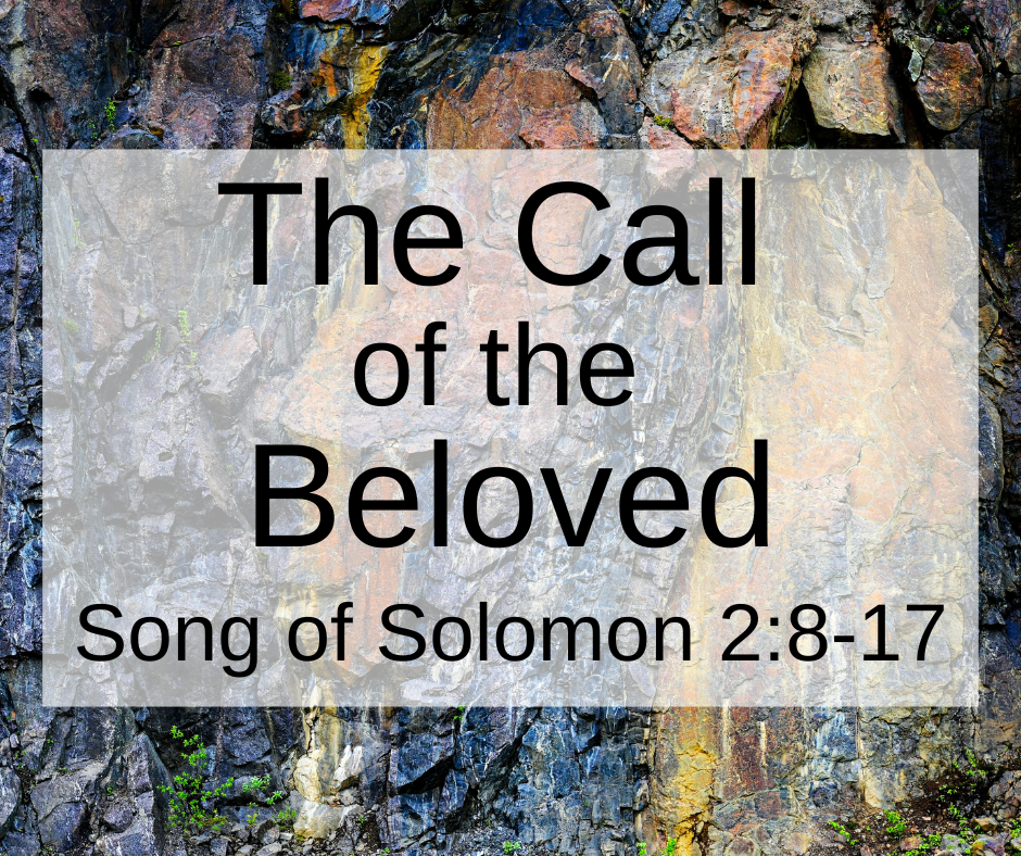 The Call of the Beloved - Song of Songs 2:8-17