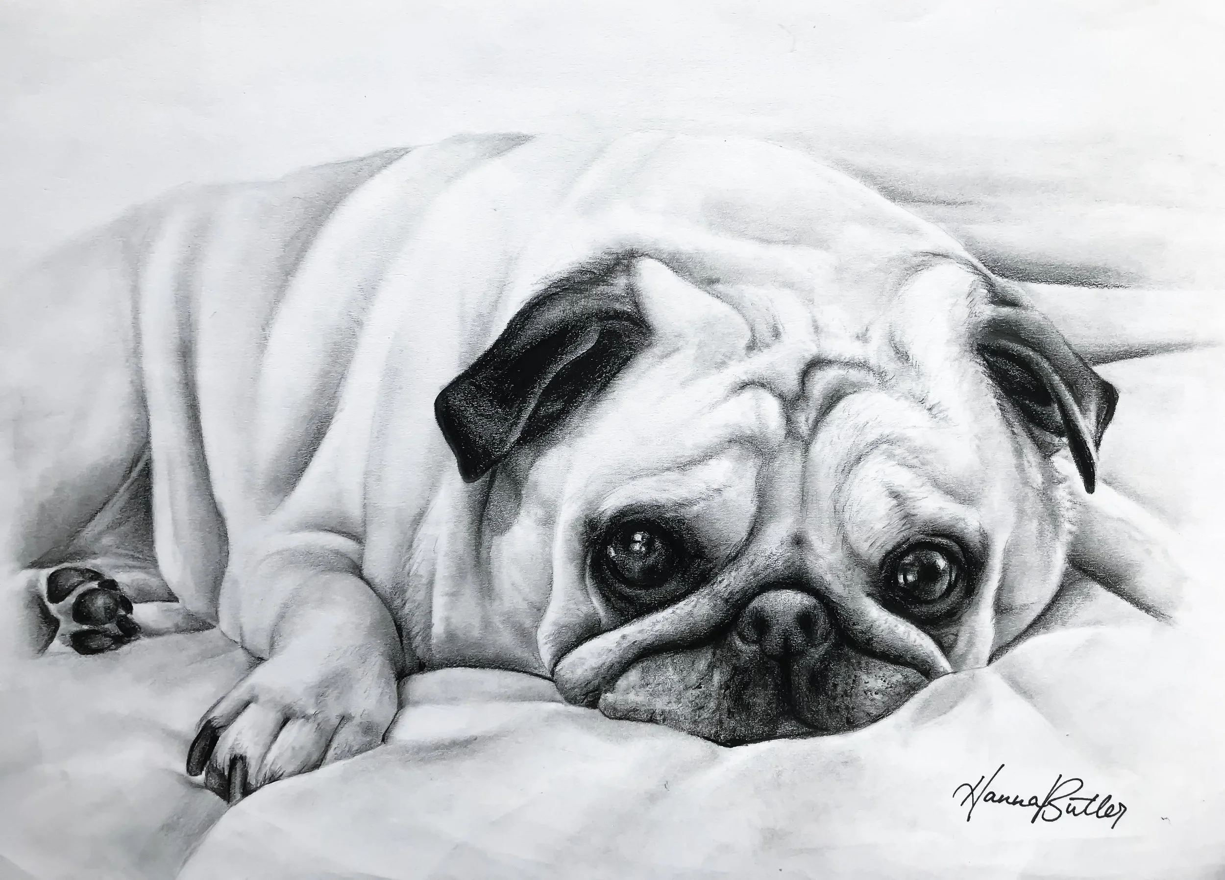 Sutton_Pug.jpg