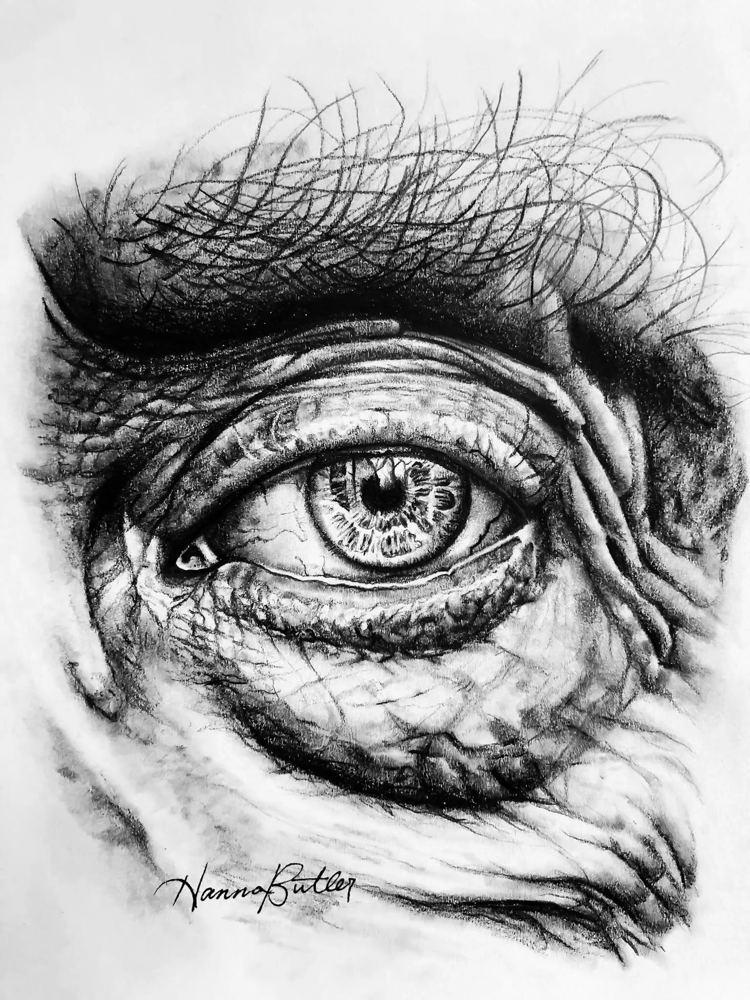 Eye+copy.jpg