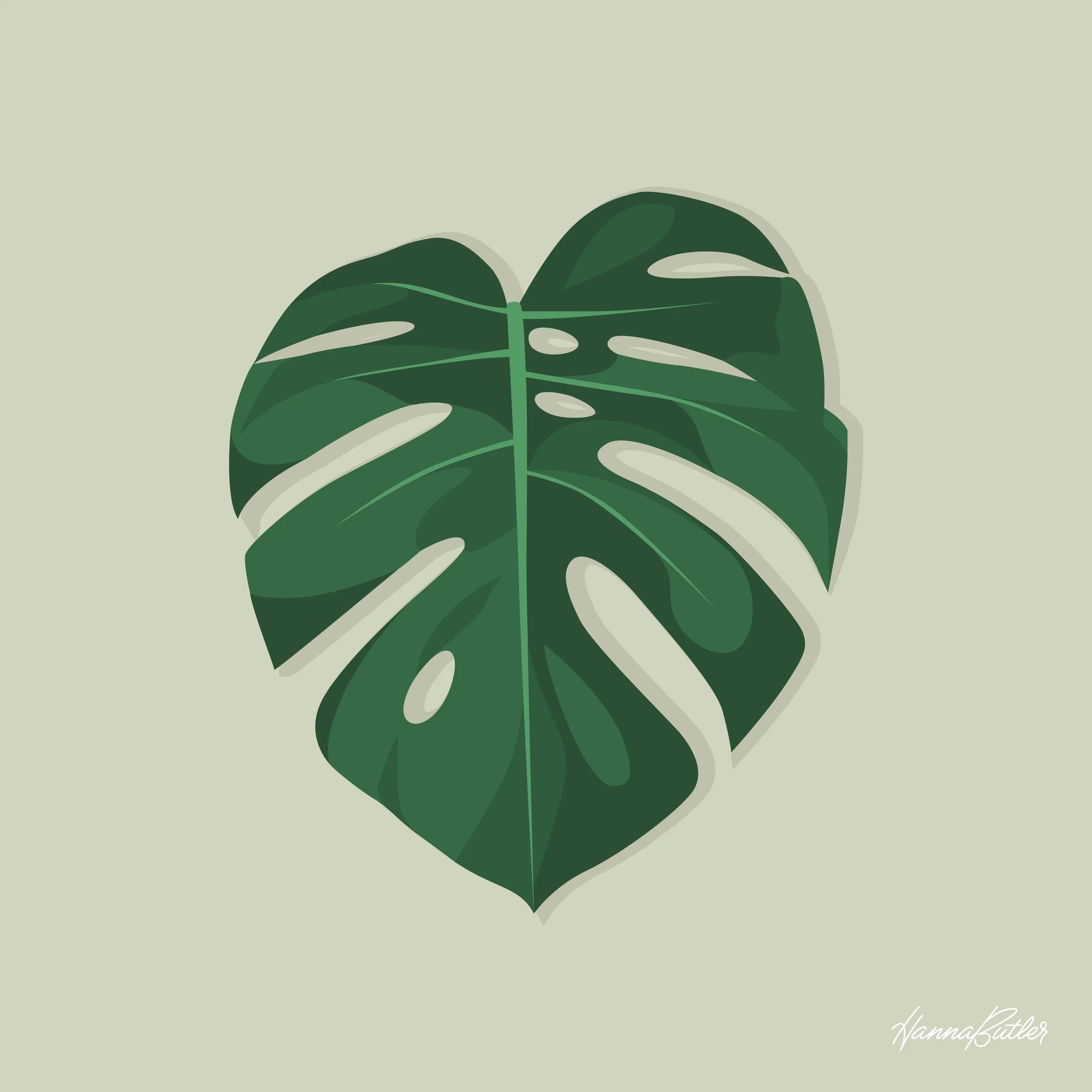 Monstera_Leaf_Illustration-01.jpg