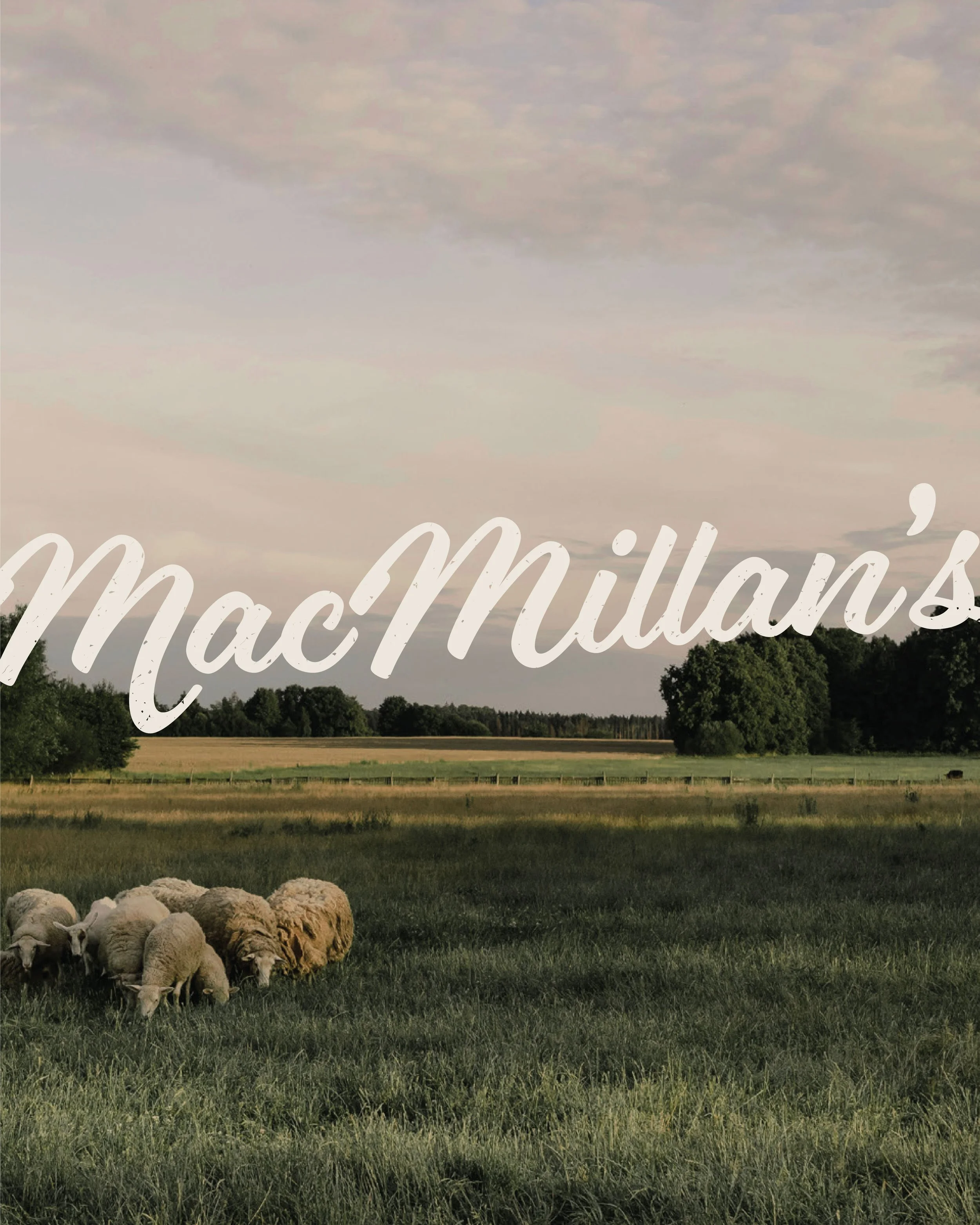 MacMillians_BrandingIGPost_1-04.jpeg