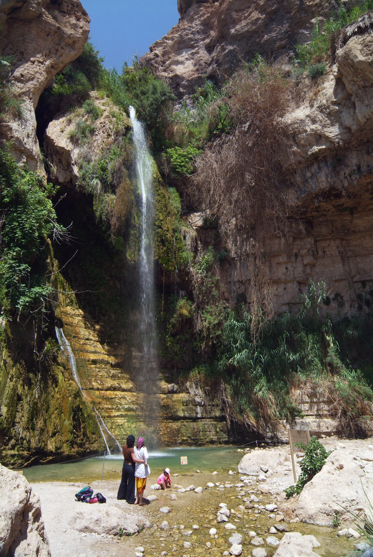 King David Falls (near desert & Dead Sea).JPG