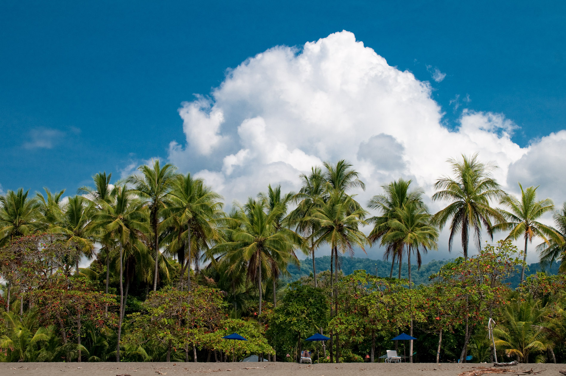 Bahari's Beach.JPG