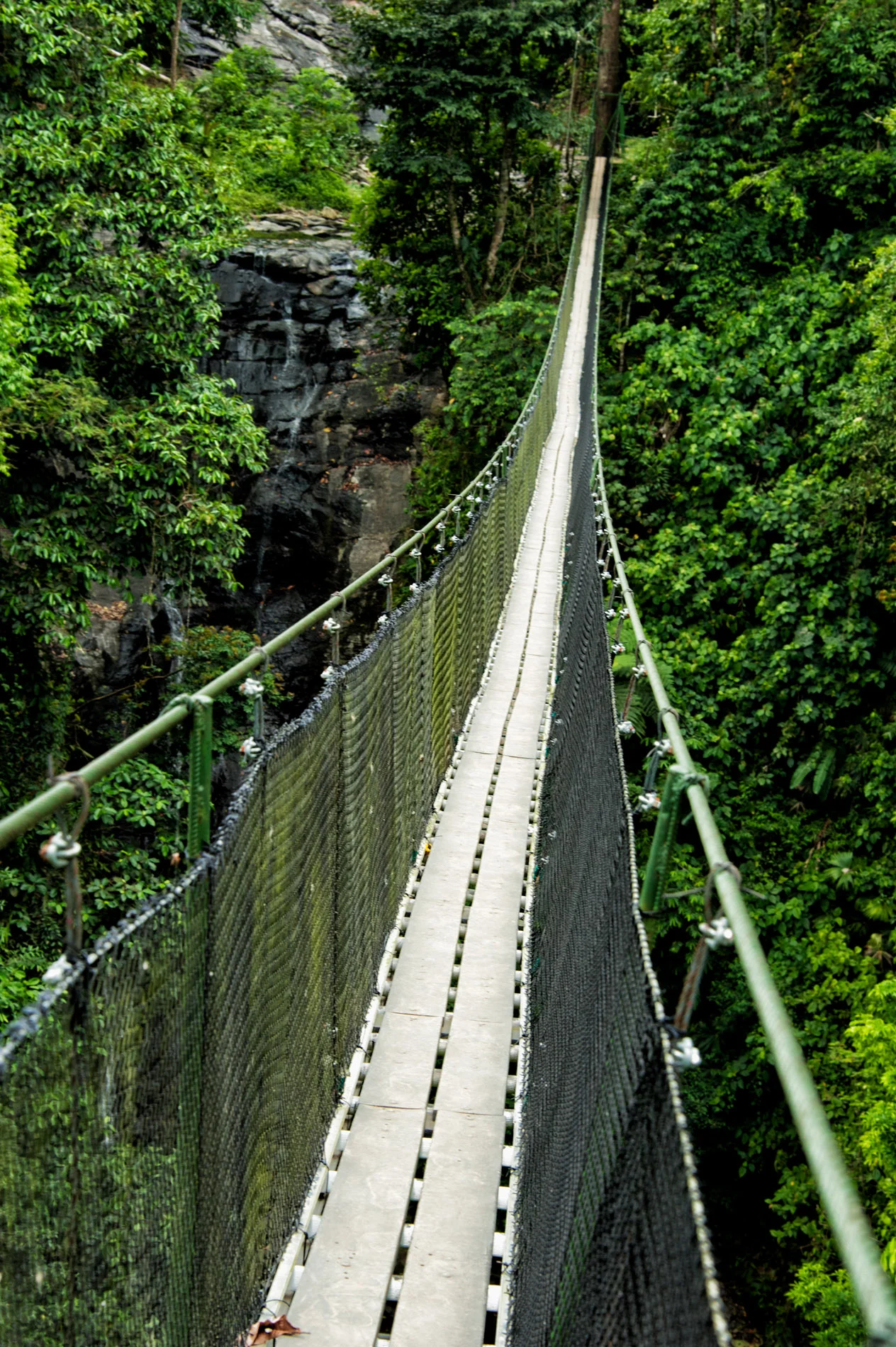 Hanging Bridge Near Savegre Valley.JPG