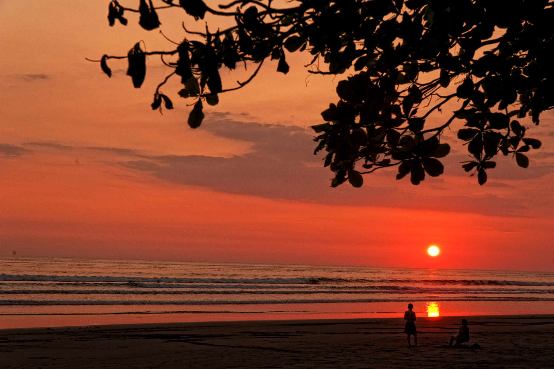 Matapolo Beach Park @ Sunset.JPG
