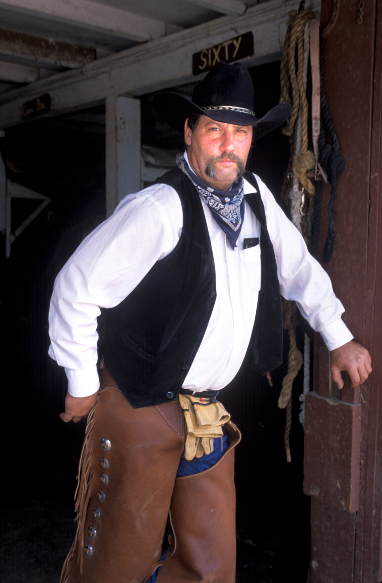 CowBoy with Attitude.JPG