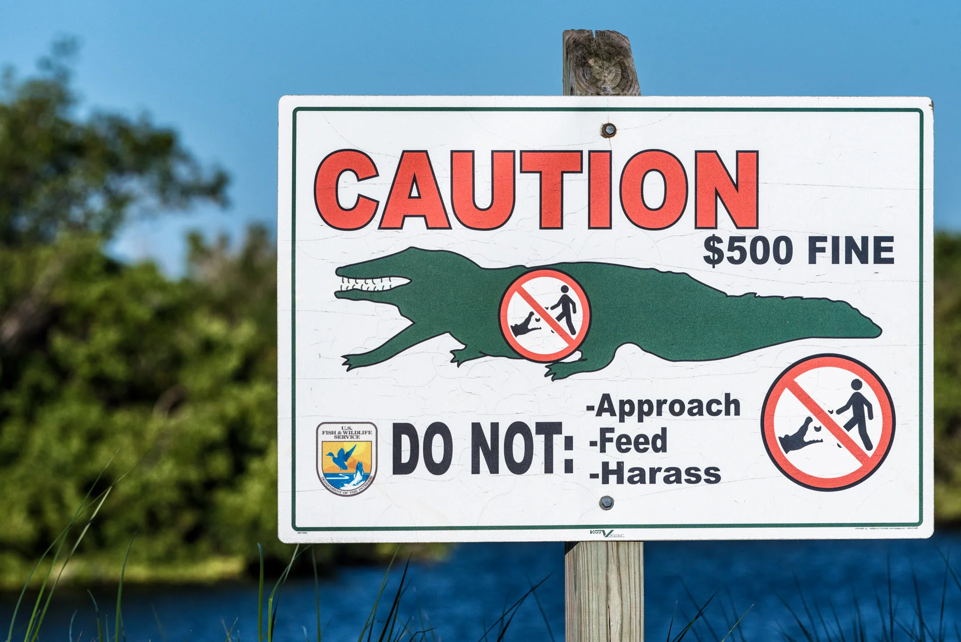 Photographer's Paradise.JPG