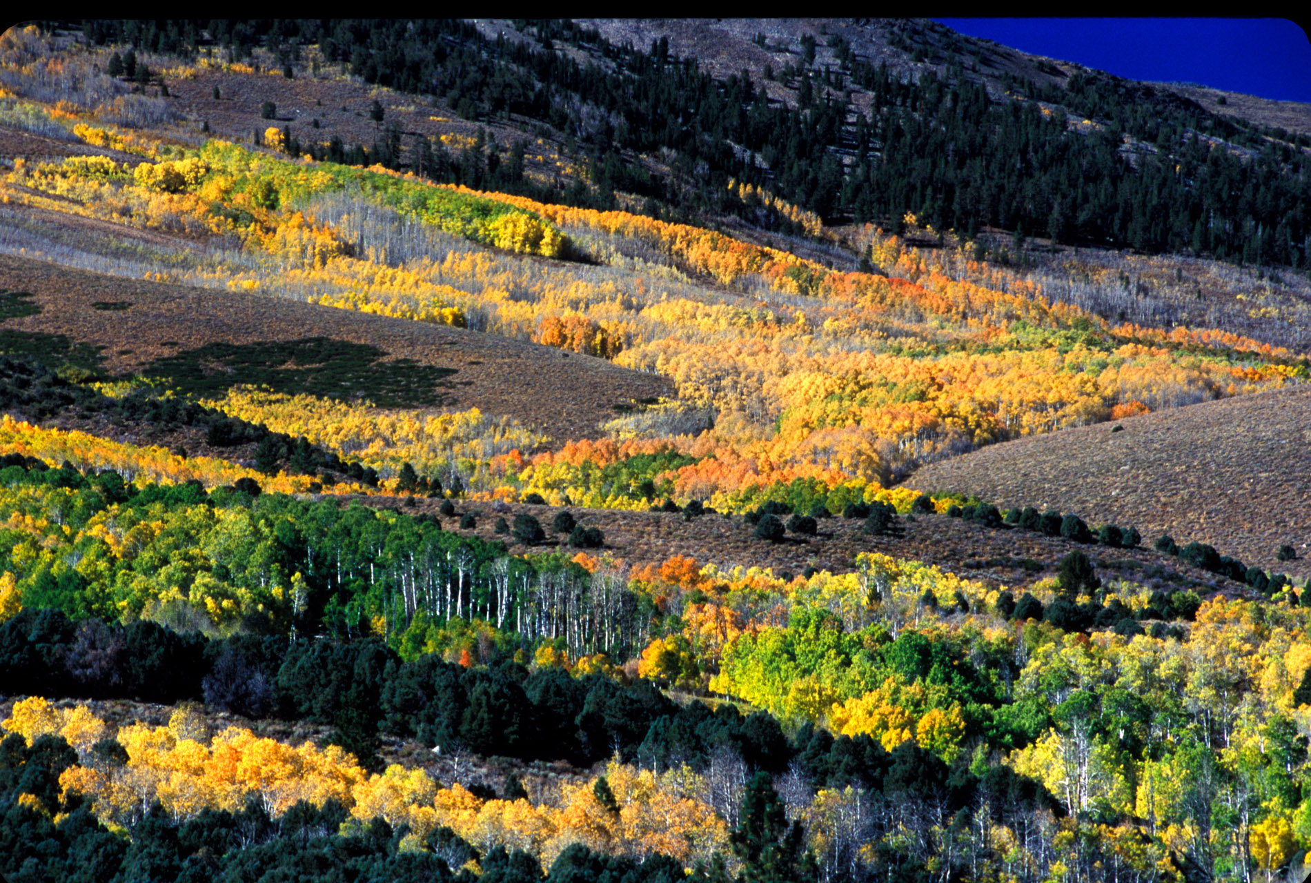 Oct 2003 E. Sierra 005.JPG