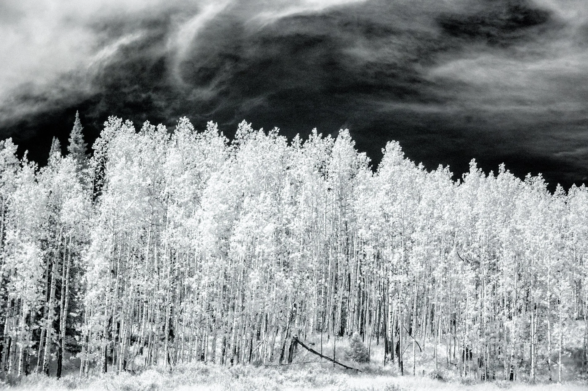 Windy Point Stand NM B&W Infa Red.JPG