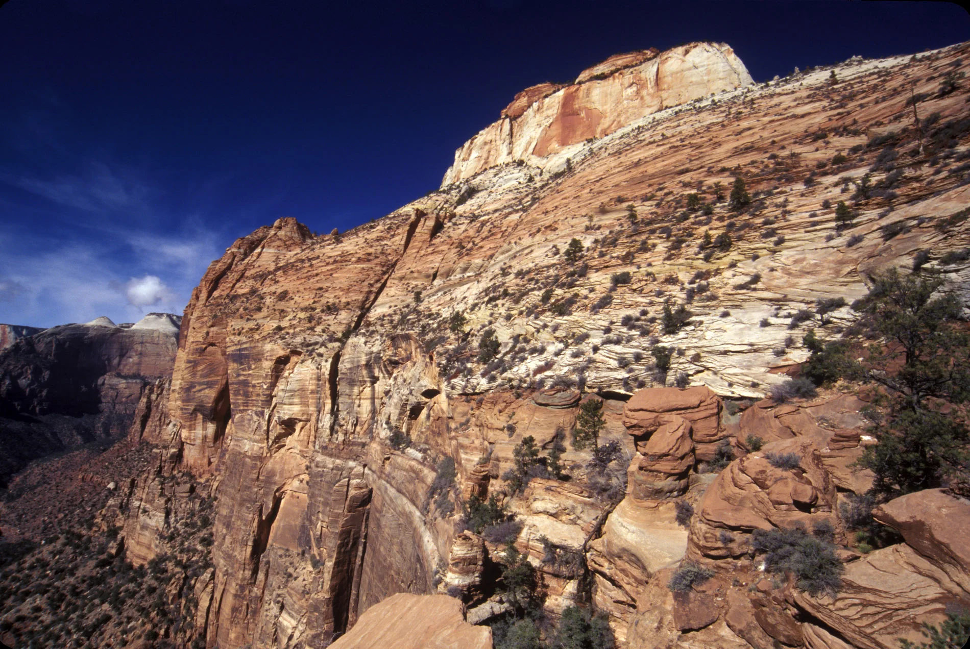 Zion Point View.JPG