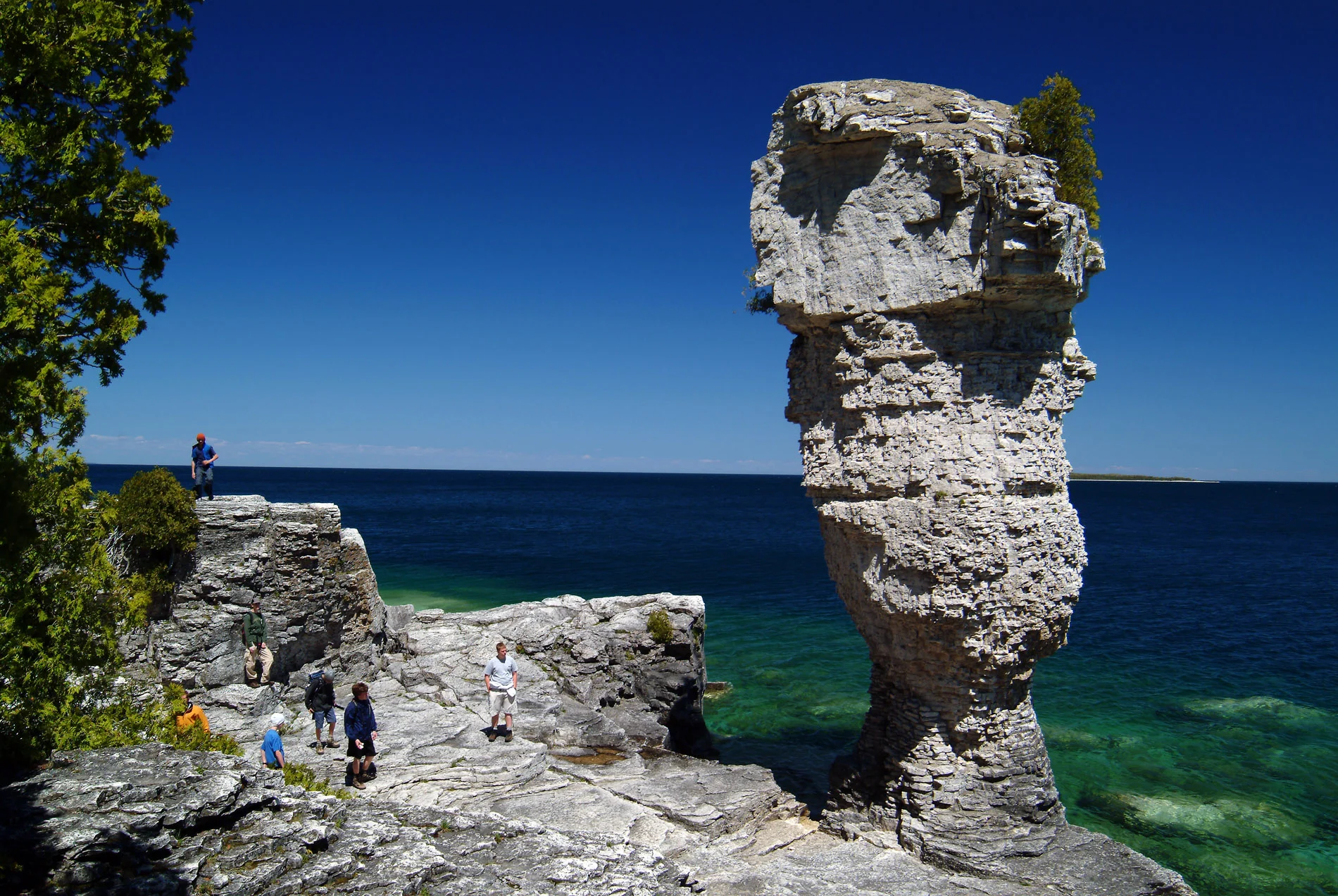 FlowerPot People.JPG