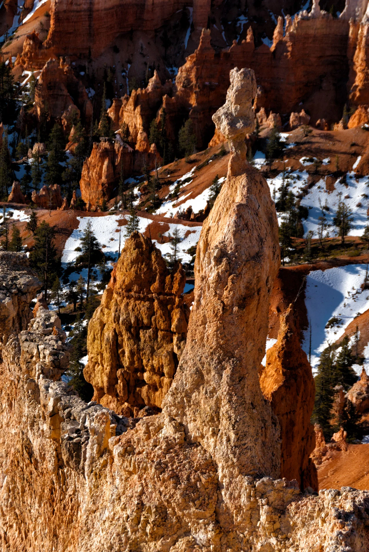 Thor's Hammer in Snow Bryce Nat. Park.JPG
