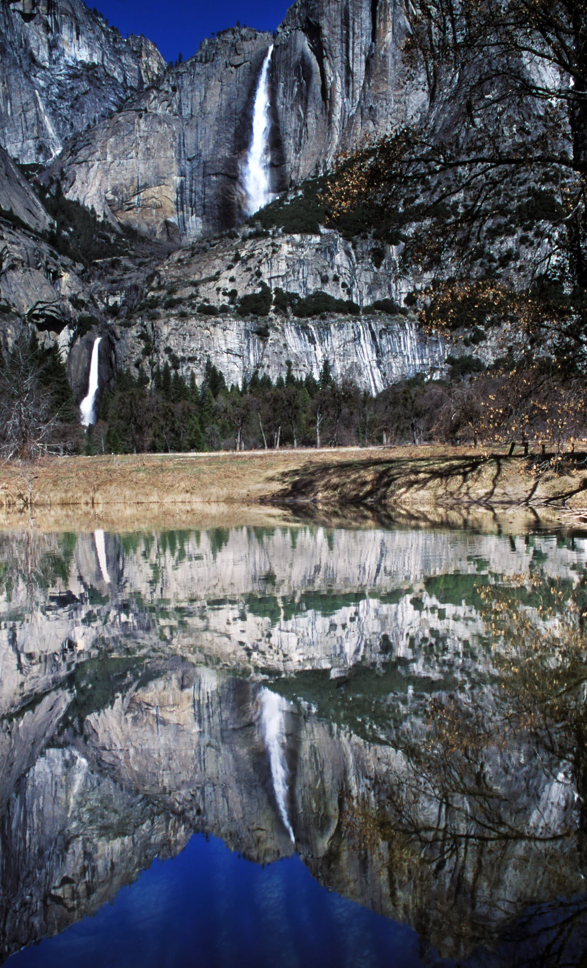 Yosemite Falls Reflection.JPG