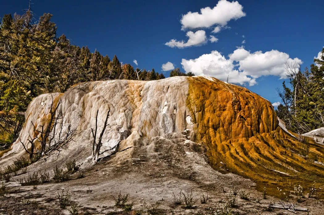 Mammoth Cone.jpg