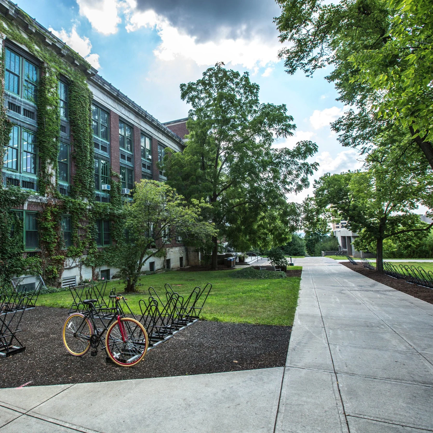 campus.jpg