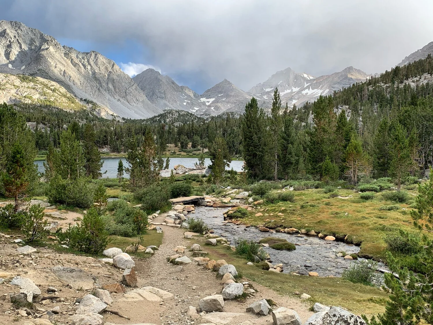 Journey to the Center of the Body - Week Nine