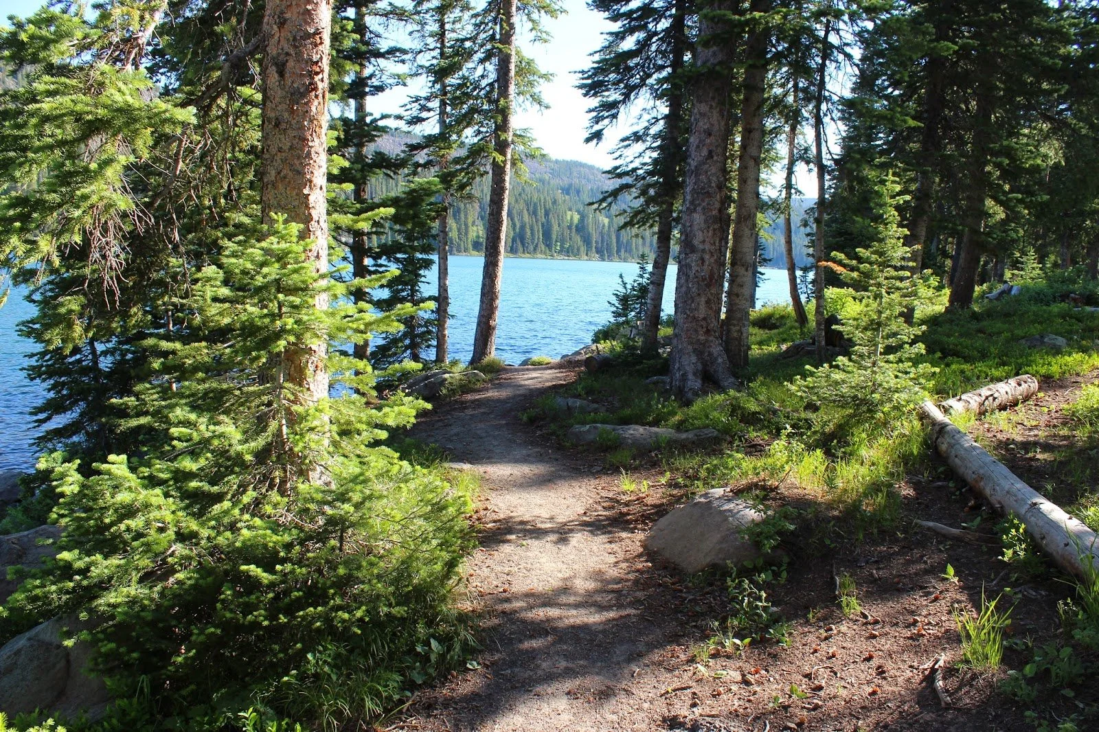 Journey to the Center of the Body - Week Ten