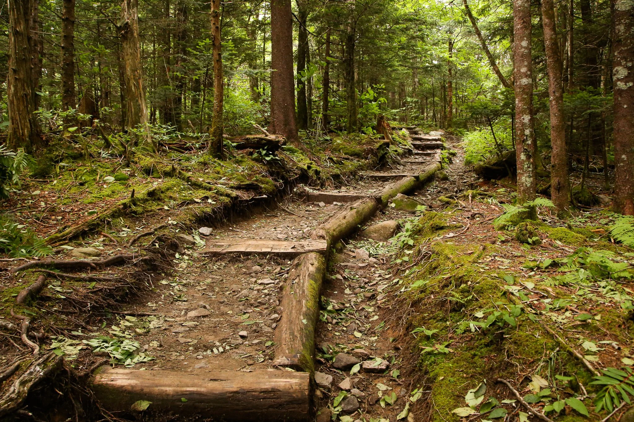 Journey to the Center of the Body - Week Thirteen