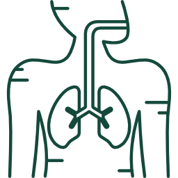 Respiratory Health Acupuncture and Herbal Medicine offers effective complementary support in the treatment of asthma, COPD, shortness of breath. It is also an incredibly effective aid in Smoking Cessation.