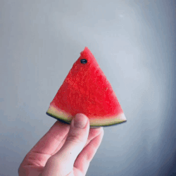 Watermelon gif NYC
