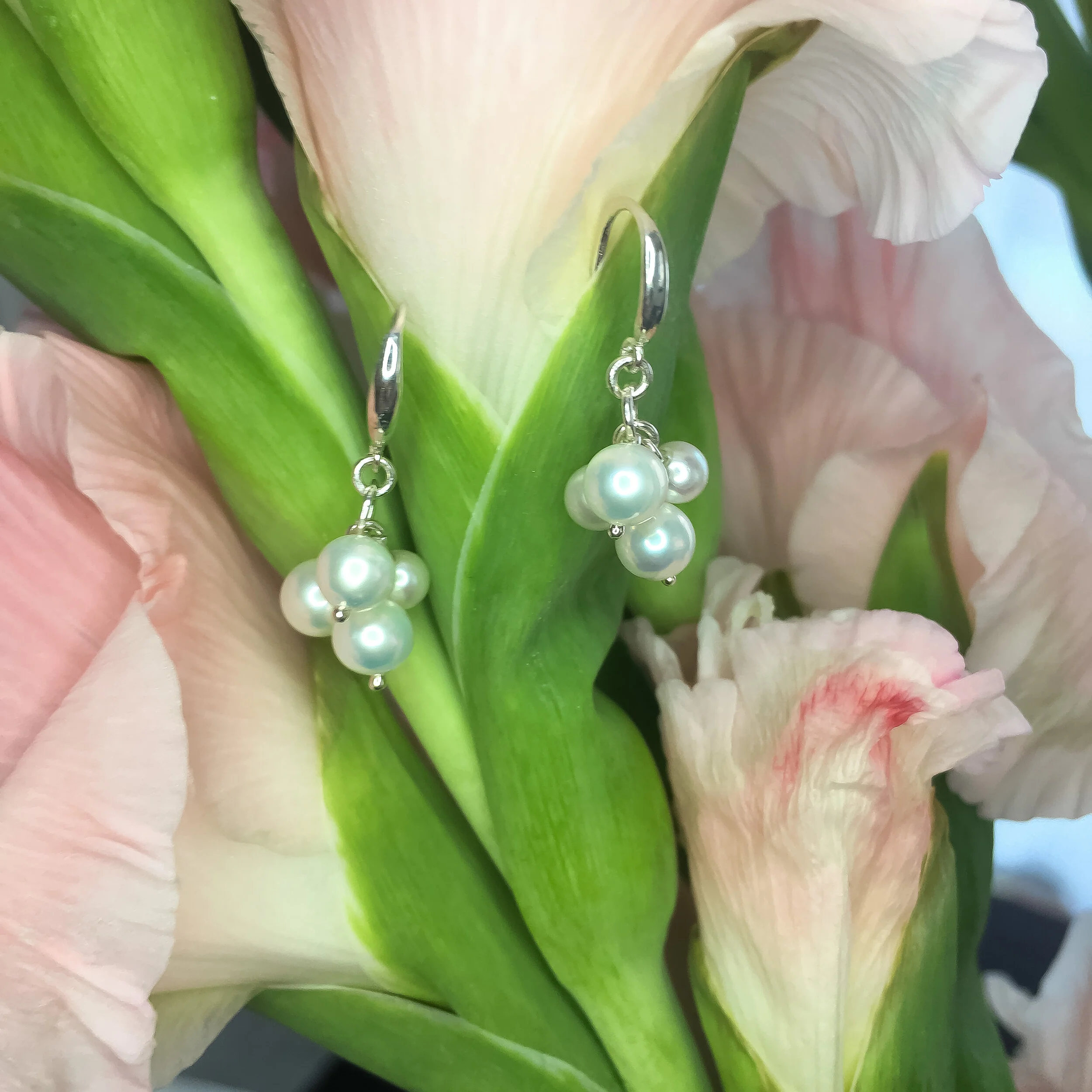 Multi Mini Freshwater Pearl Drop Earrings