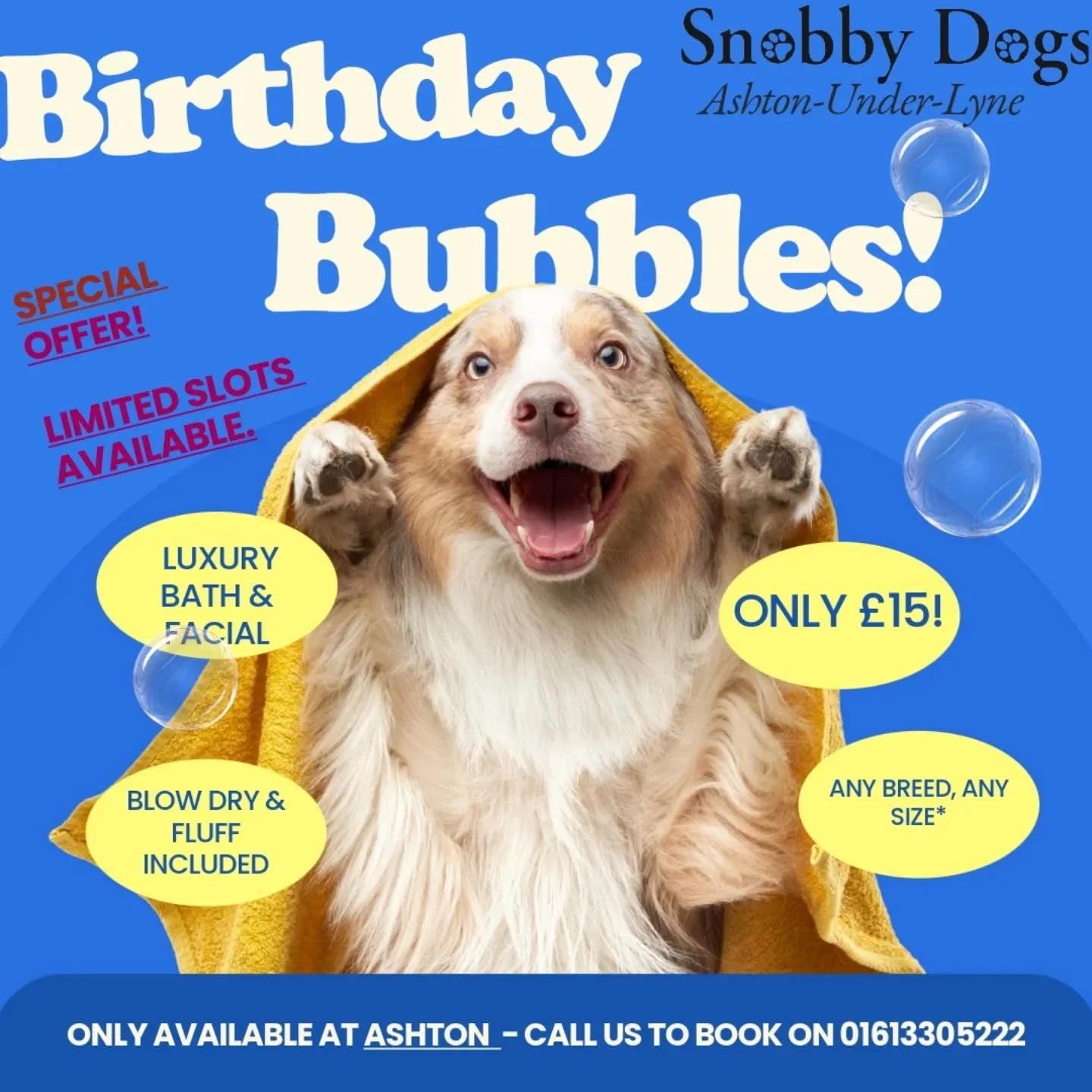 Birthday Bubbles at Ashton!! 🥂🎉

To celebrate our Birthday, we are offering &lsquo;Birthday Bubbles&rsquo; - &pound;15 bathe, facial and blow dry for any dog.

To book please call our Ashton Salon on 01613305222 🐾🛁

#celebration 
#celebratory 
#d