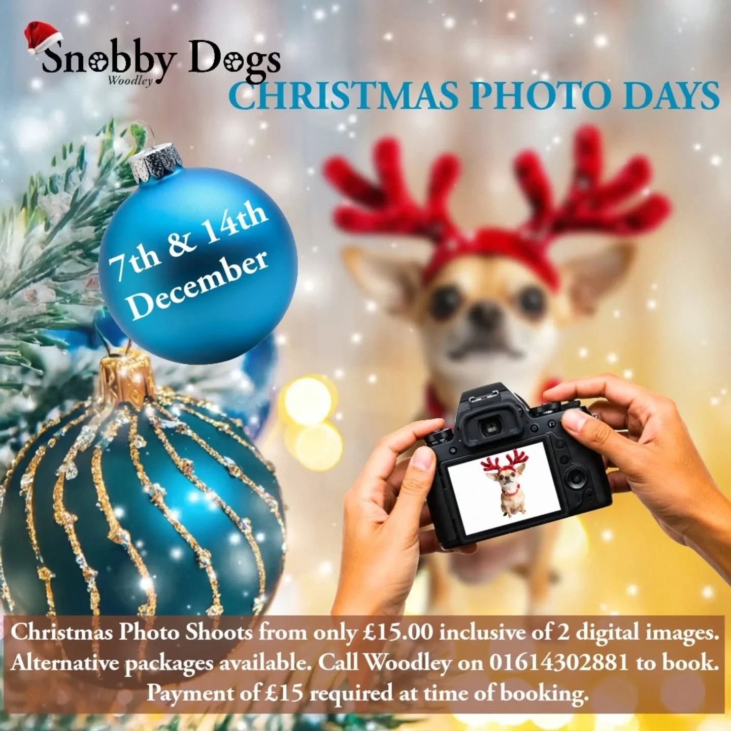 🎅🏼📸 JOIN US FOR OUR CHRISTMAS PHOTO SESSIONS on Sunday 7th &amp; 14th December, at Snobby Dogs Woodley.

Strictly by appointment only
Availability extremely limited
Packages from &pound;15
Add-ons and stocking fillers to choose from

Whole family 