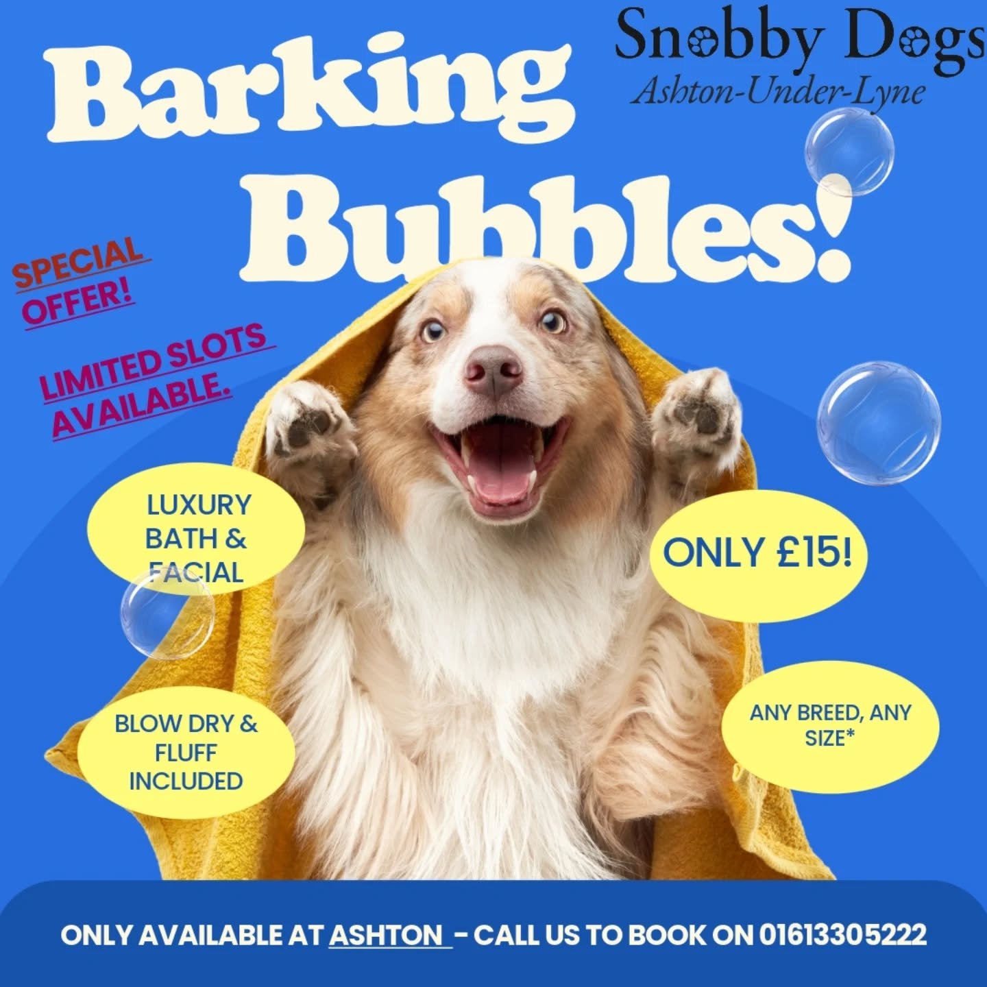 Our fabulous Bubbles offer is back at our Ashton Store. Very limited availability so get it before it's gone! Call 01613305222 📞

#specialoffer #limitedtimeoffer #bathtime #bathanddry #doggroominguk