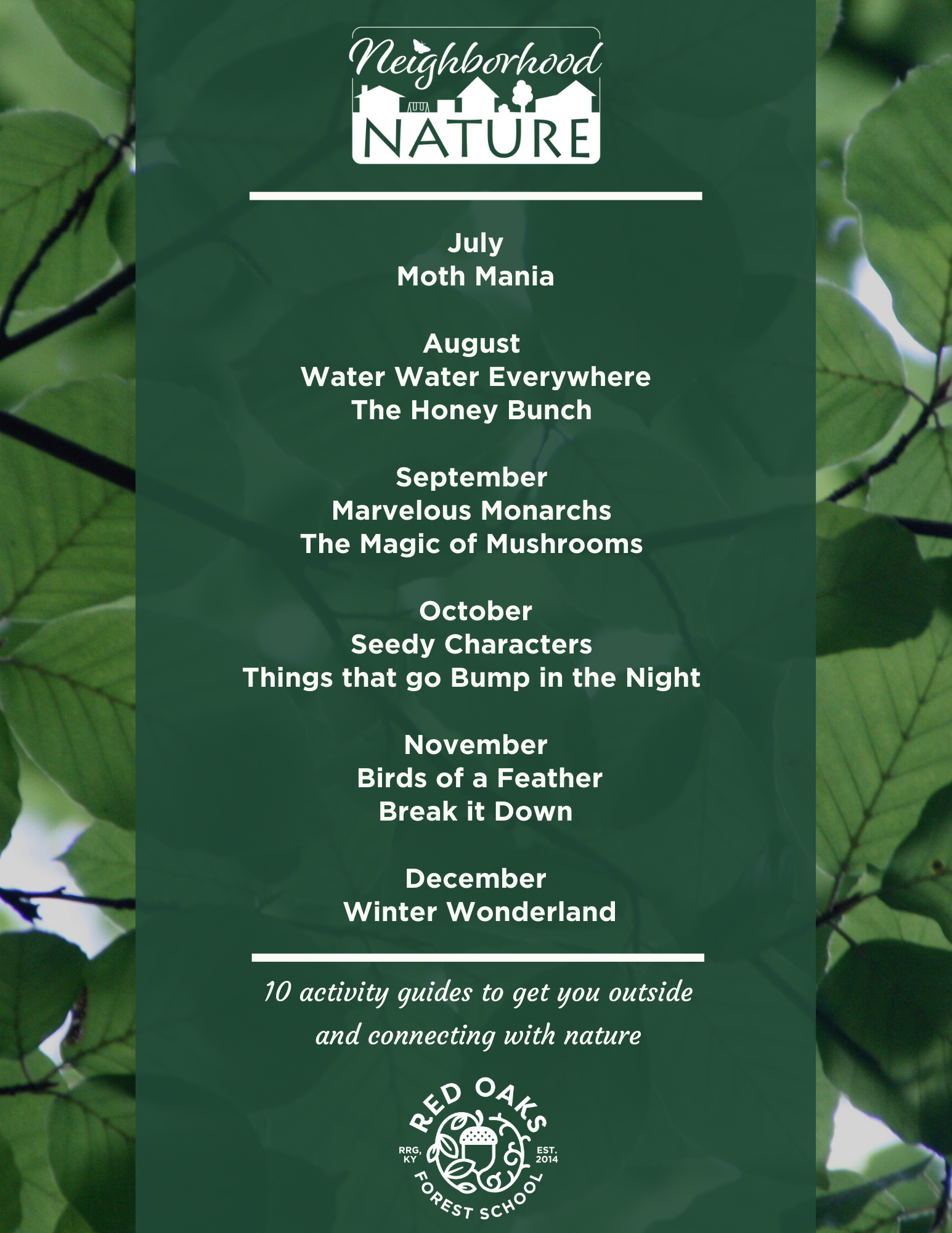 Nature Feature Landscaping Services.png