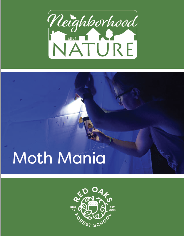 Screen Shot 2020-08-11 at 8.47.46 AM.png