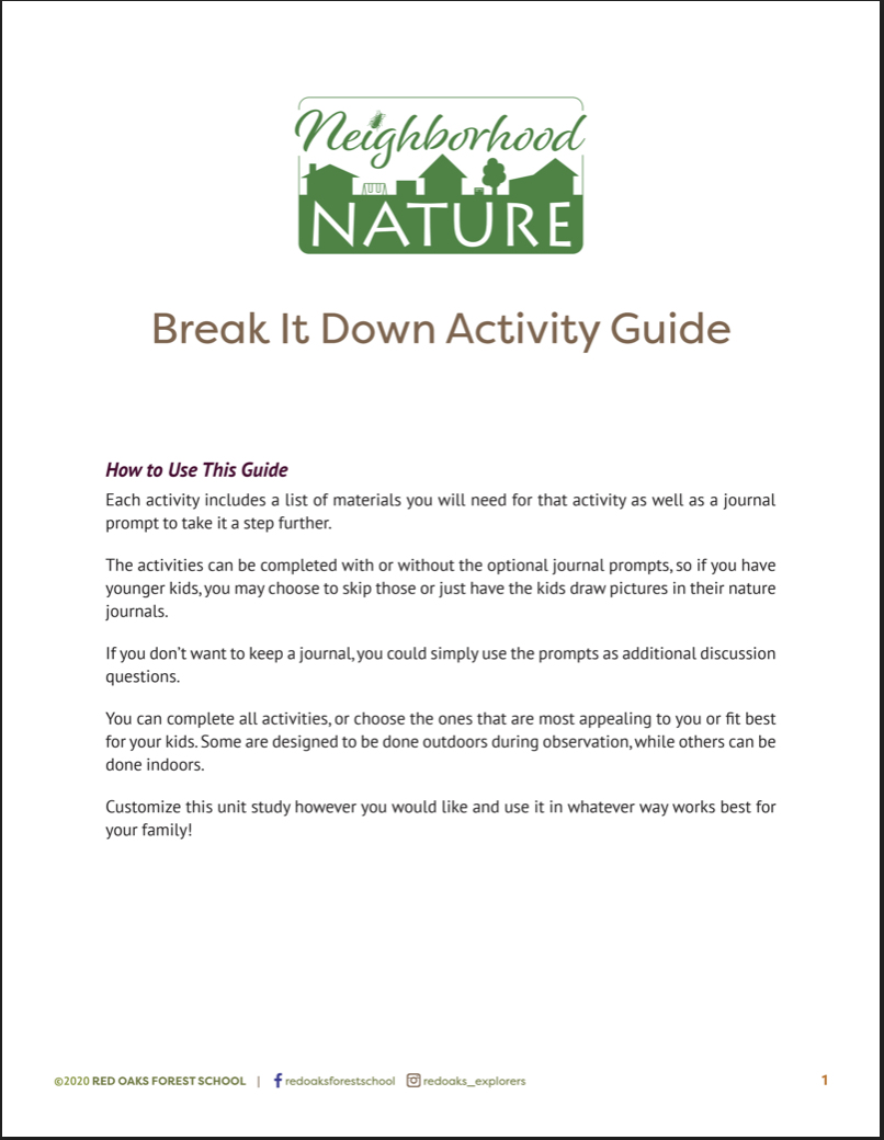 Break It Down Neighborhood Nature Red Oaks Forest School