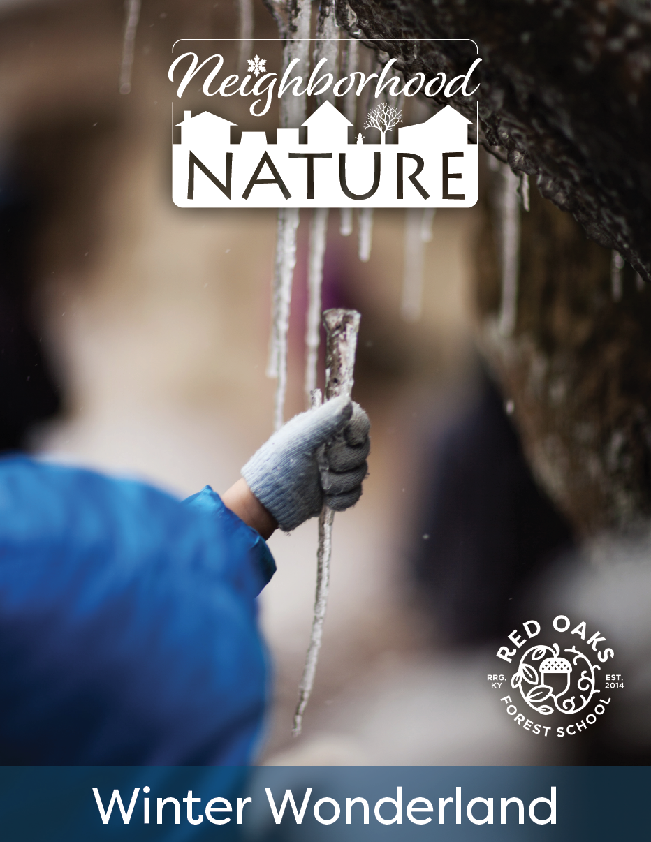 Screen Shot 2020-12-23 at 3.42.52 PM.png