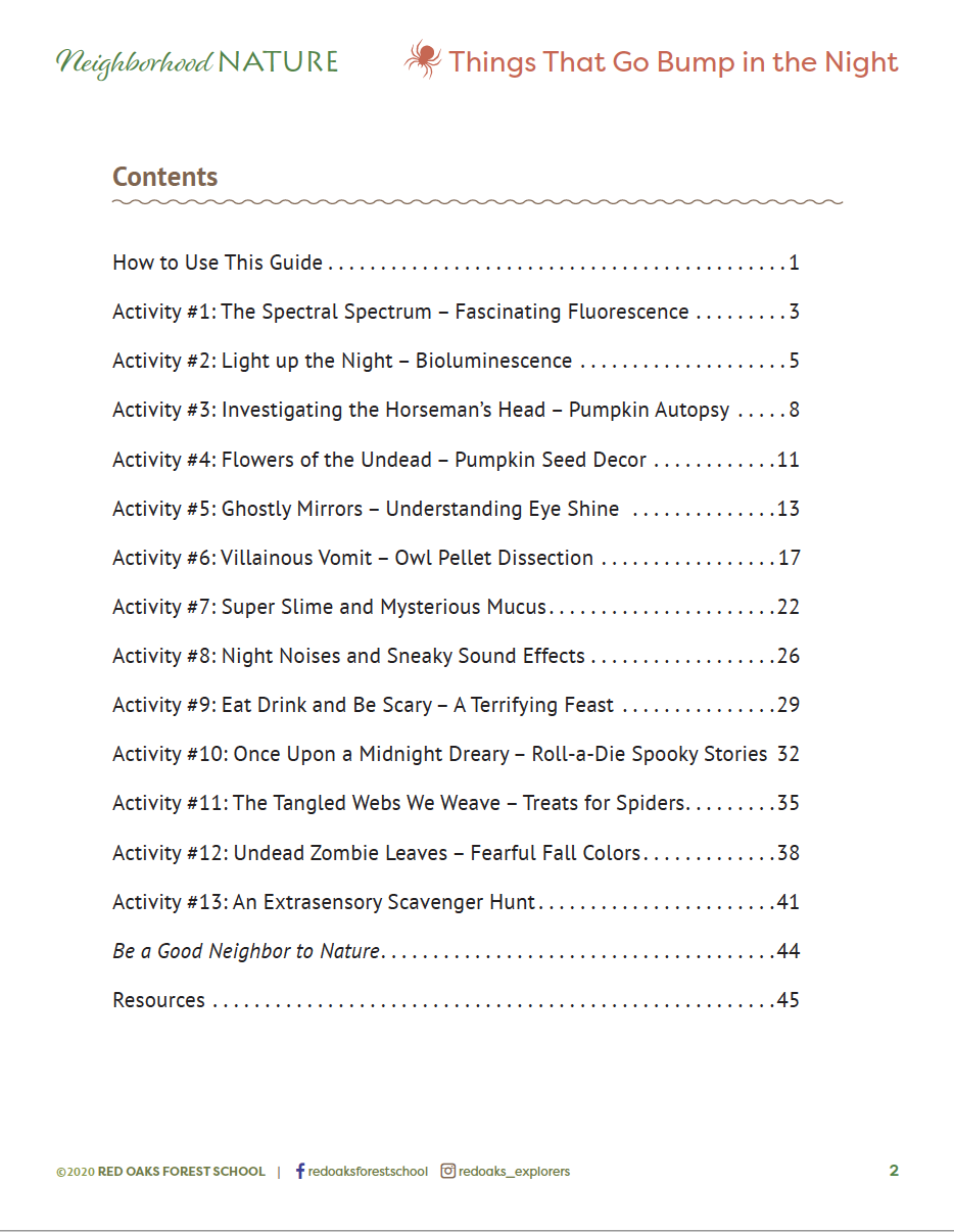 Screen Shot 2020-12-28 at 10.30.26 AM.png