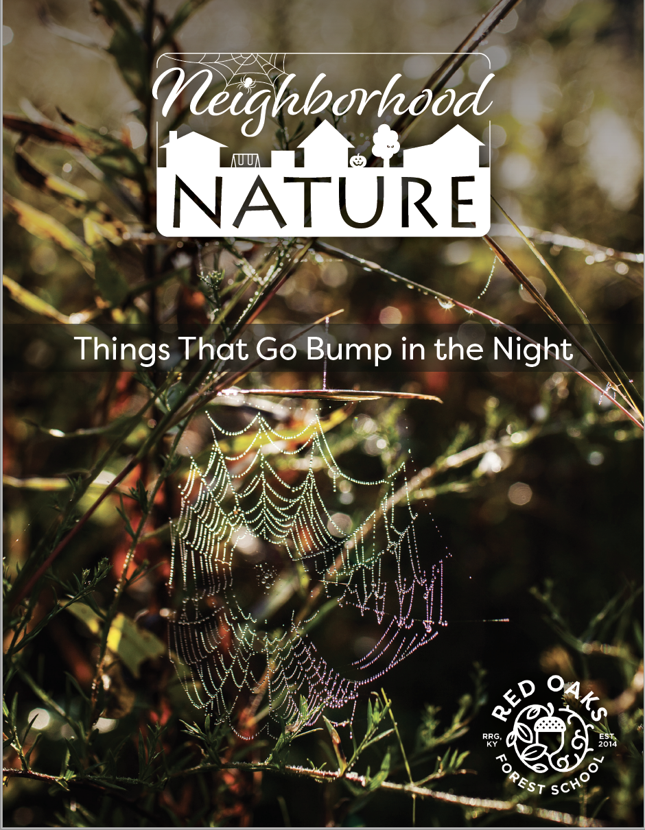 Screen Shot 2020-12-28 at 10.30.14 AM.png