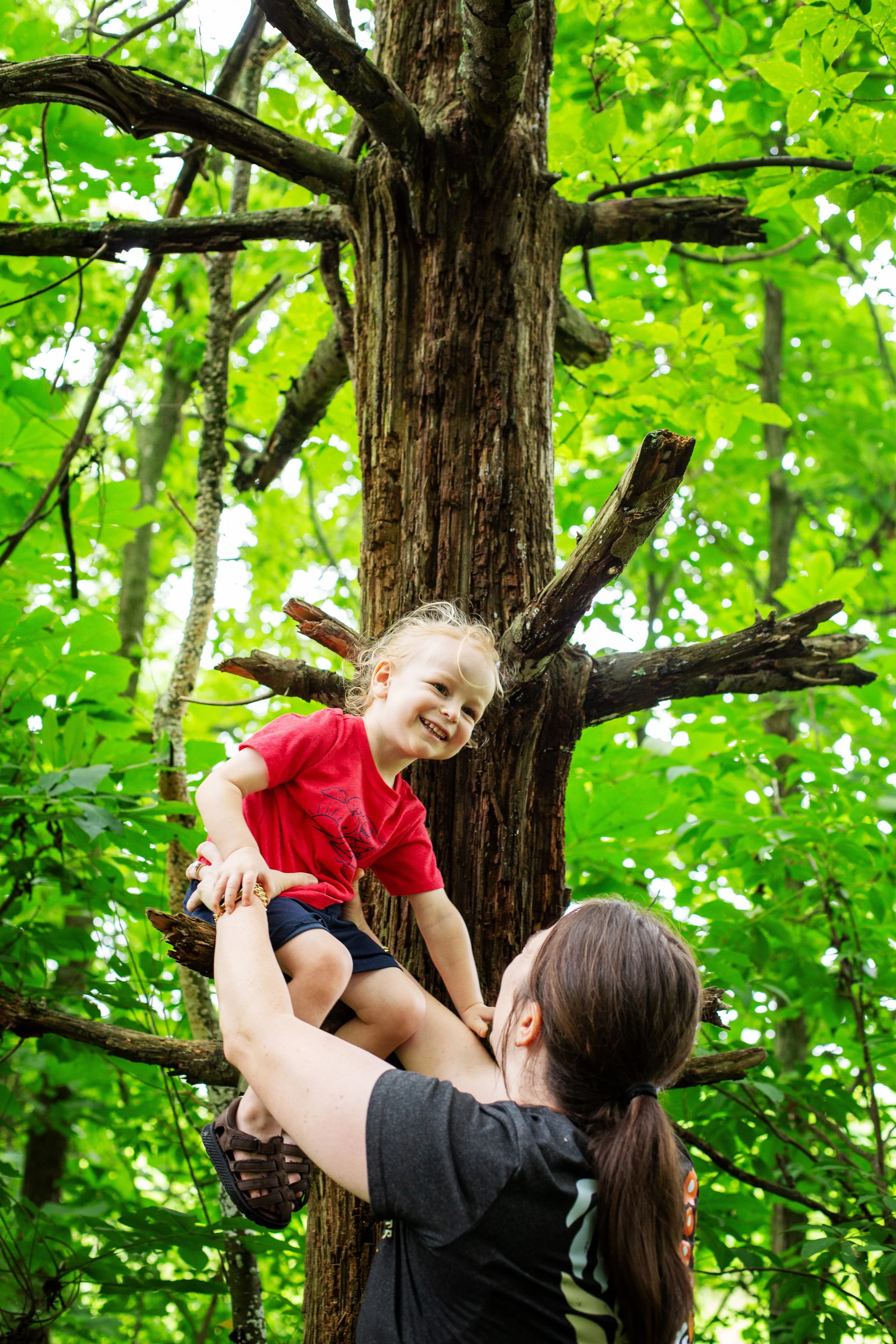 ForestFamilies_HisleFarm_13.JPG