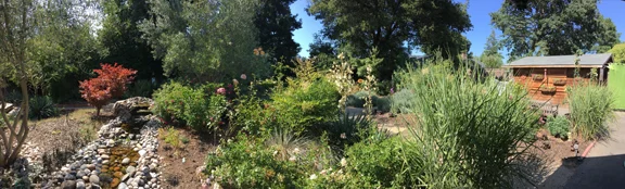 Garden.jpg