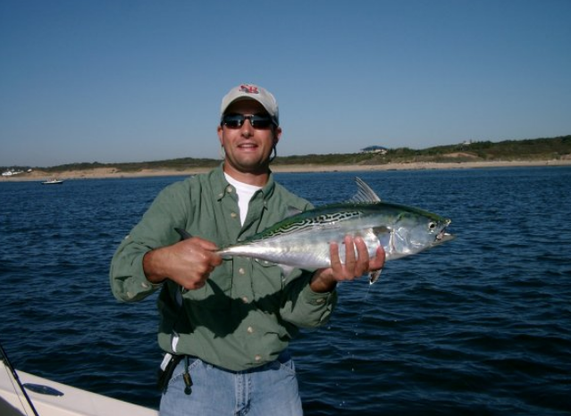 Ron Dixon