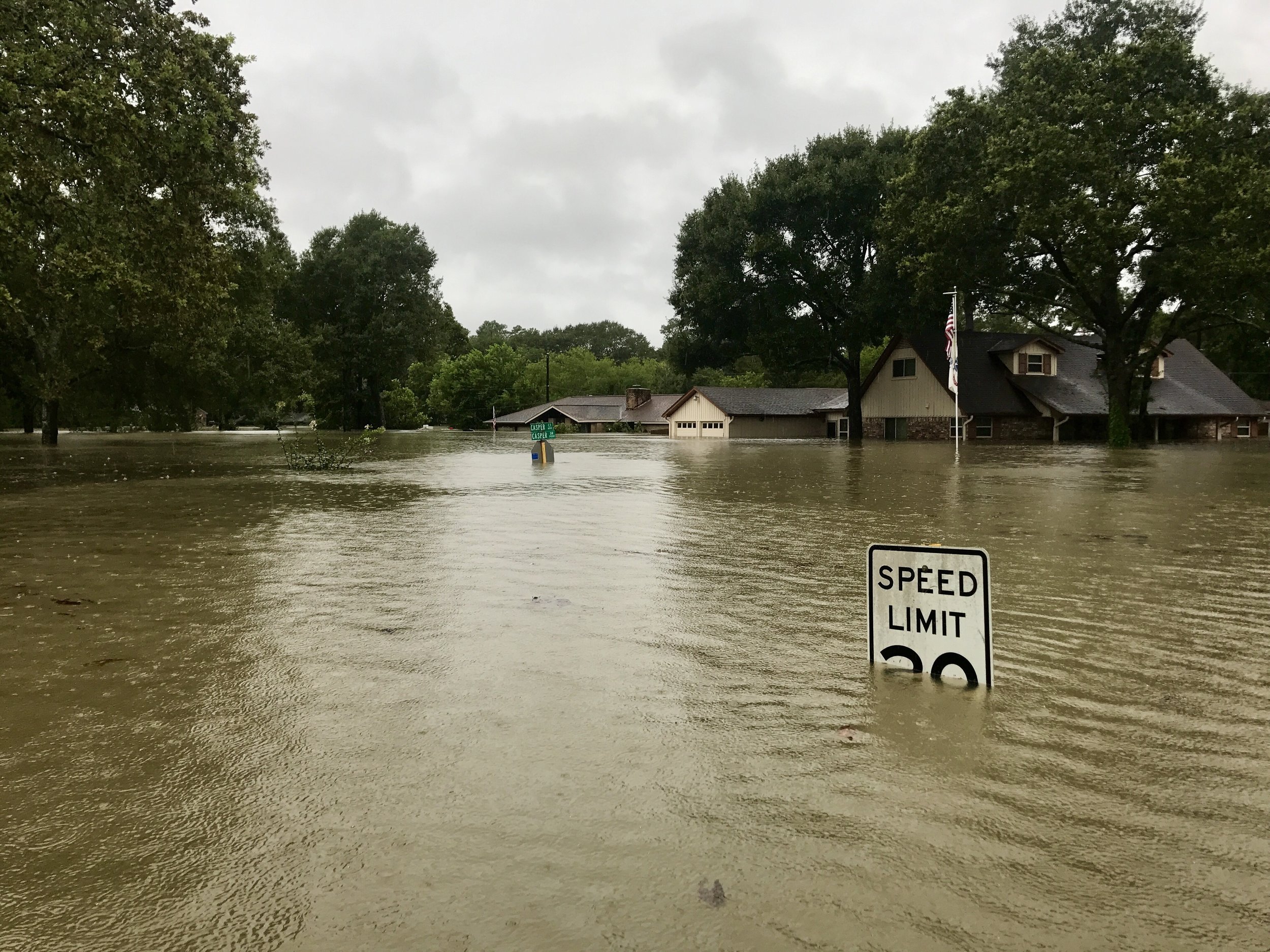 Flood.jpg