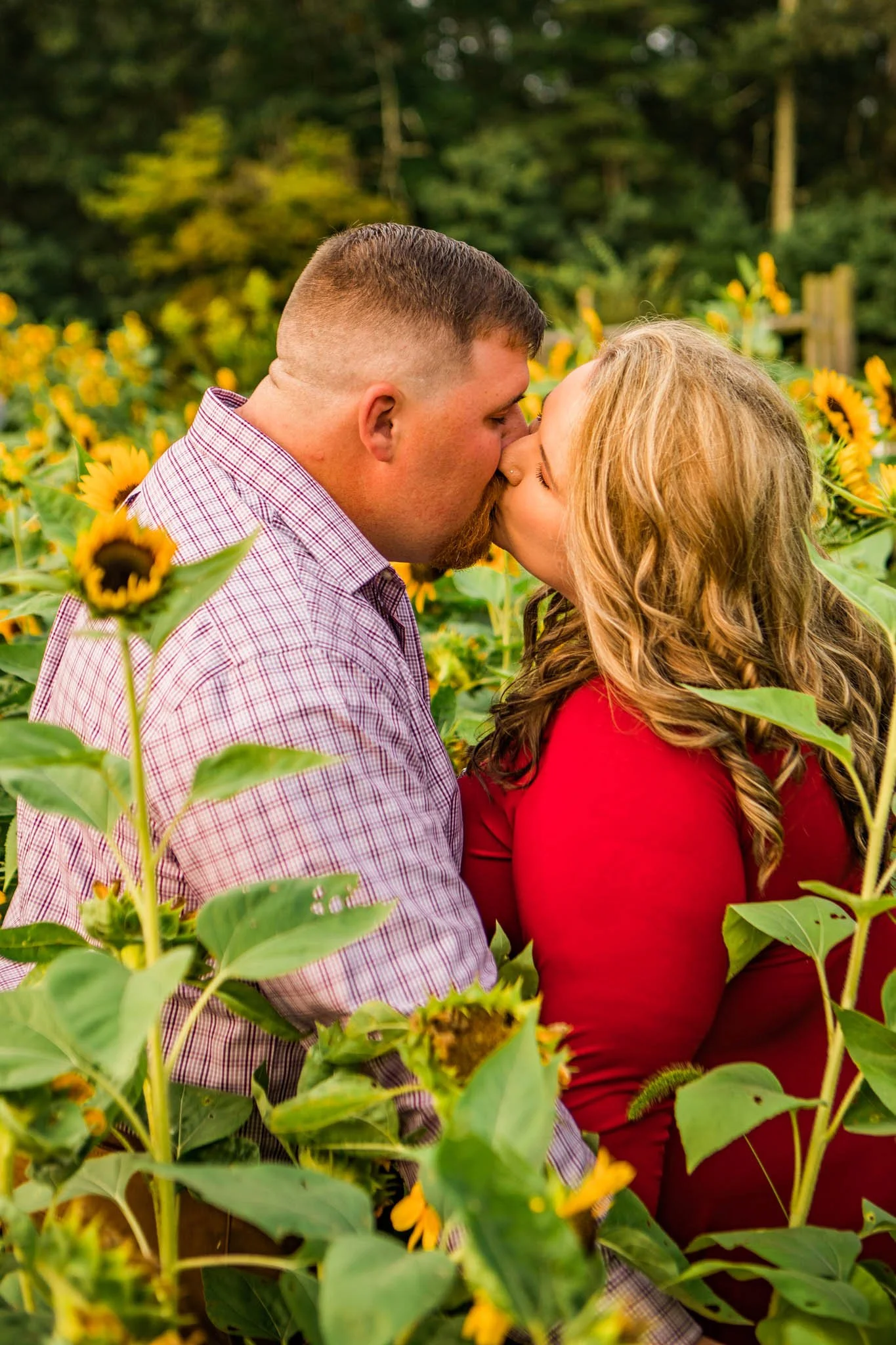 Abby's Maternity Photo Session At Sunset Berry Farm Alderson WV