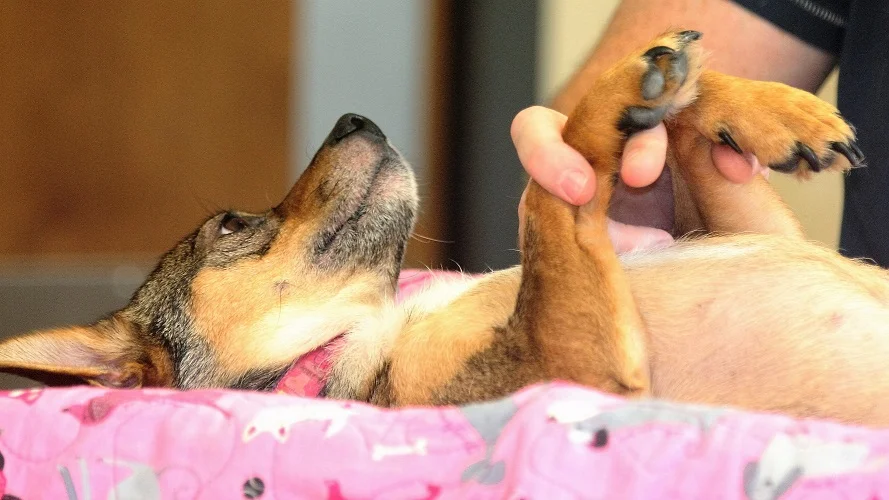 IMG_3793 (2) resize.jpg