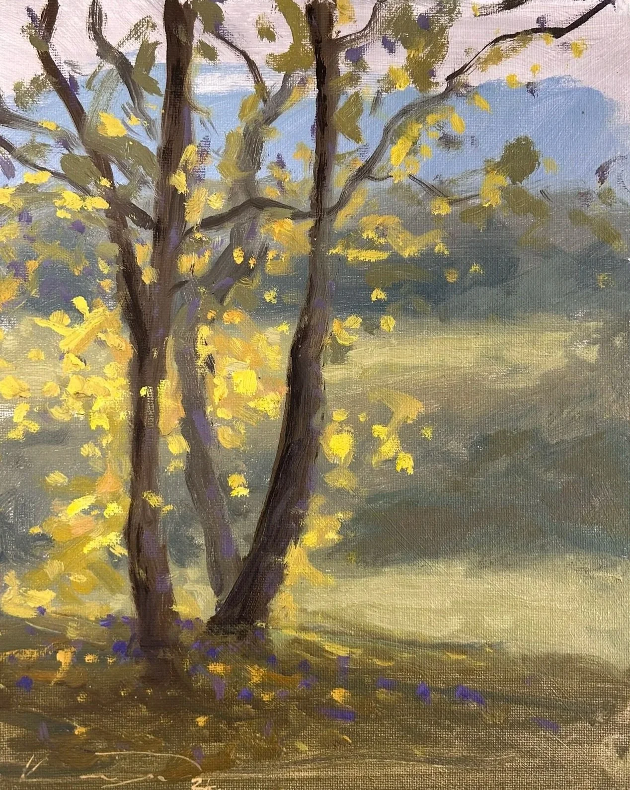 Beneath a Shaded Tree at Clos Mirabel